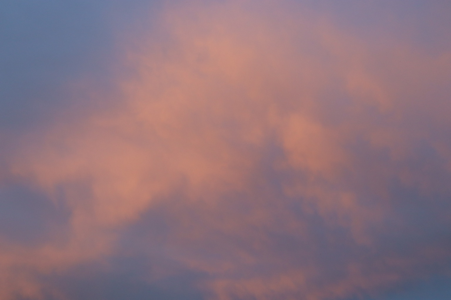 Scaled image IMG_1160.JPG 