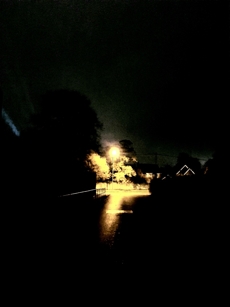 Scaled image Nice Night for a Walk.jpg 