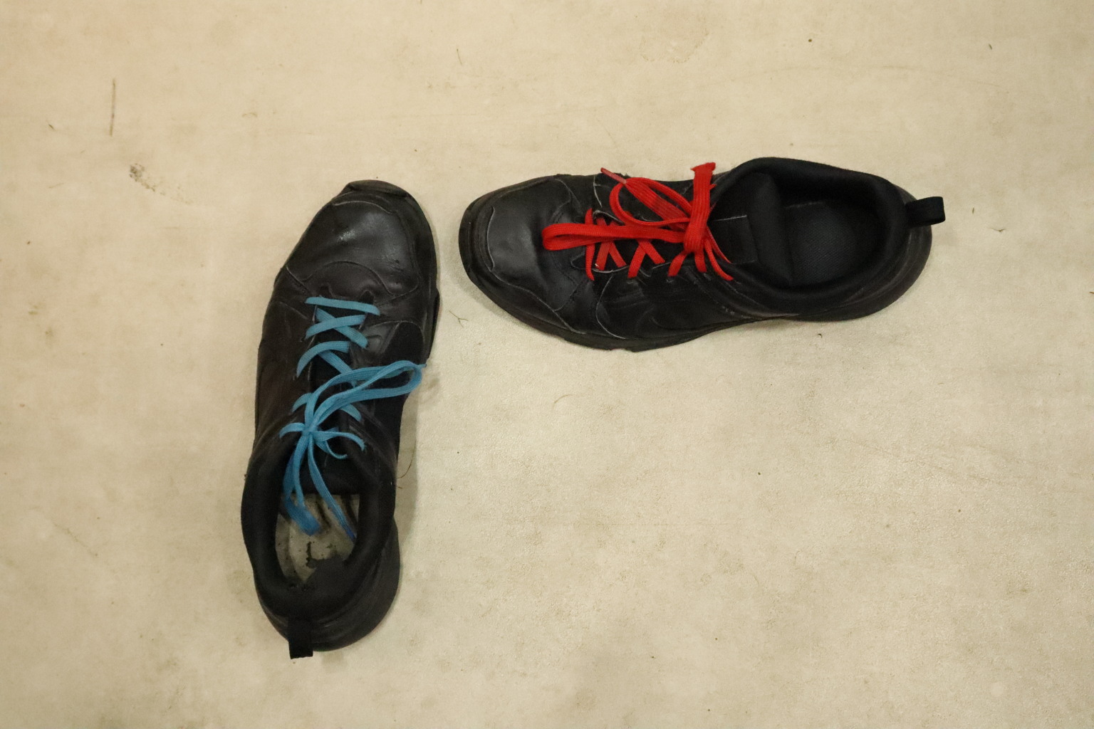 Scaled image IMG_1584.JPG 