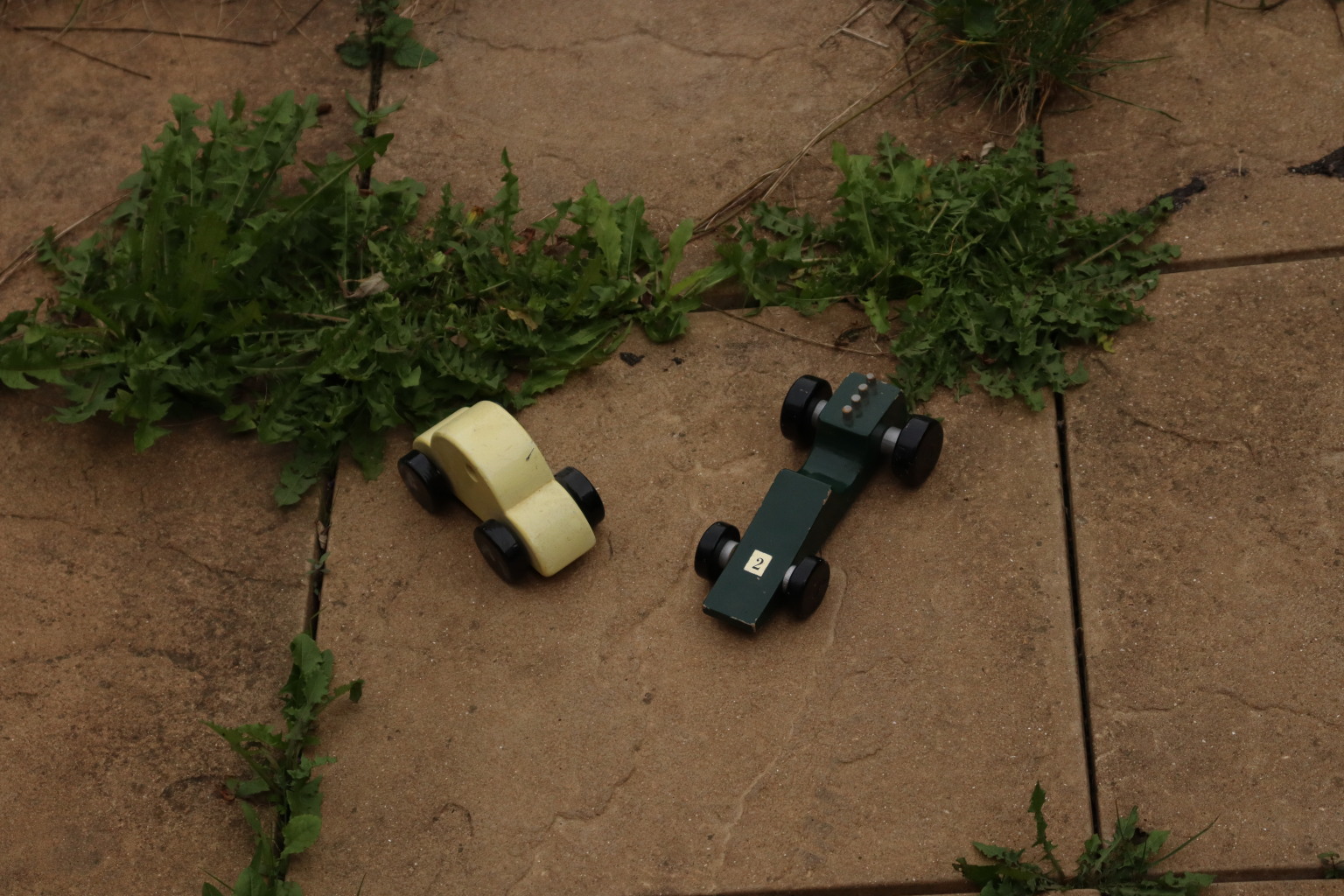 Scaled image IMG_1437.JPG 