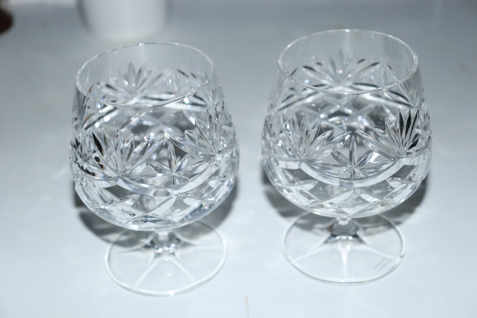 Scaled image IMG_1559.JPG 