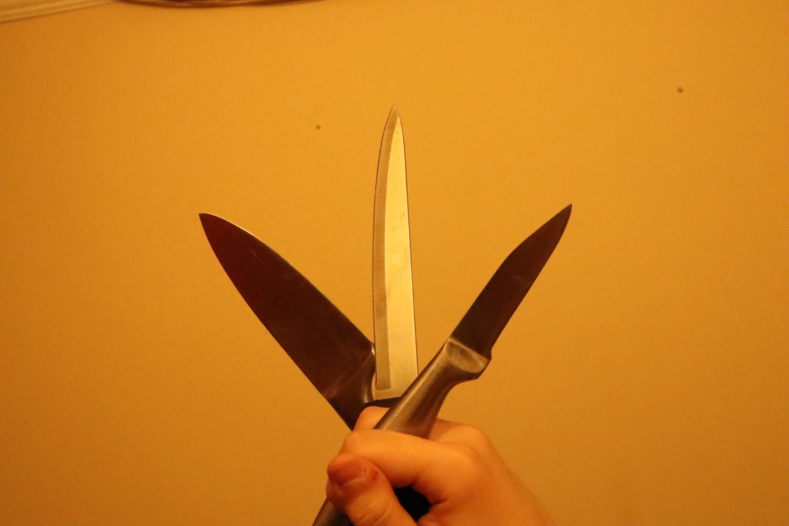 Scaled image IMG_1602.JPG 