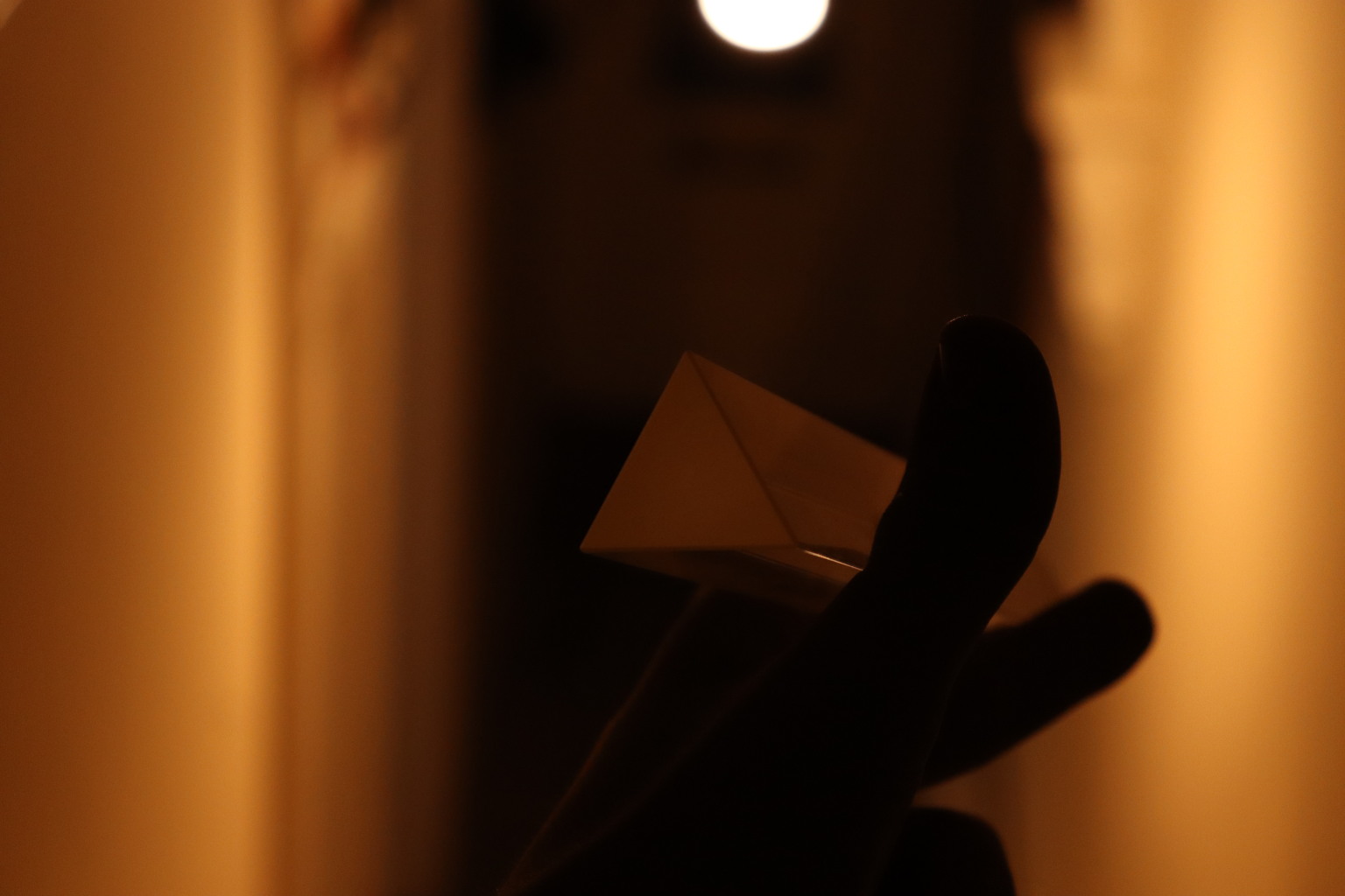 Scaled image IMG_1742.JPG 